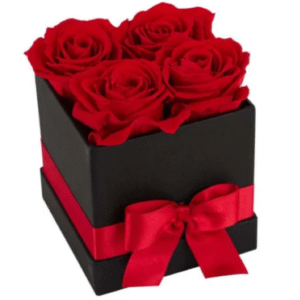 preserved roses red gift box